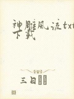 神雕风流txt下载