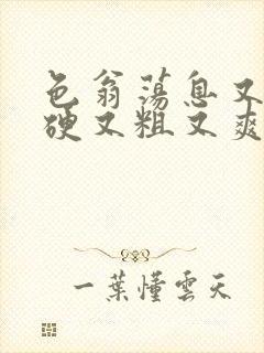 色翁荡息又大又硬又粗又爽电影
