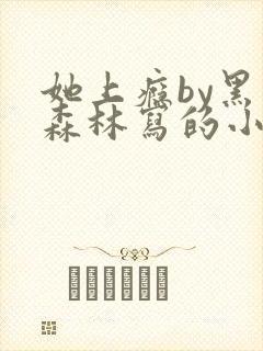 她上瘾by黑暗森林写的小说免费阅读无弹窗