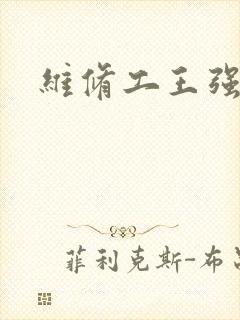 维修工王强张婷封面