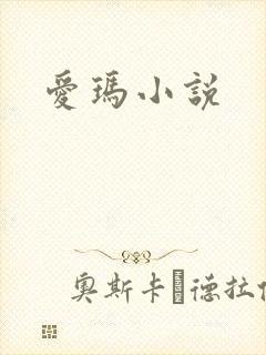 爱玛小说封面