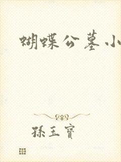 蝴蝶公墓小说封面