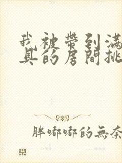 我被带到满是玩具的房间挑调作文