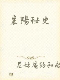 襄阳秘史