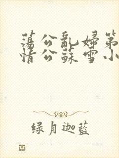 荡公乱妇第1章情公苏雪小说封面