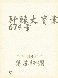轩辕大宝袁雪妃674章封面