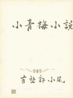 小青梅小说