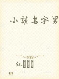 小说名字男生