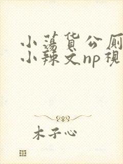 小荡货公厕h文小辣文np视频封面