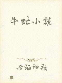 牛虻小说封面