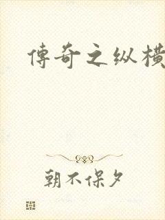 传奇之纵横玛法