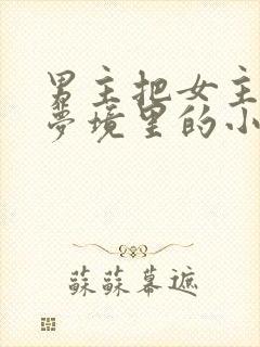 男主把女主拖进梦境里的小说
