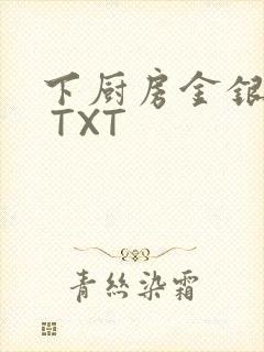 下厨房金银花露 TXT封面