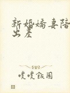 新婚娇妻陪局长出差封面