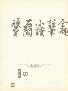 顽石小说全文免费阅读笔趣阁