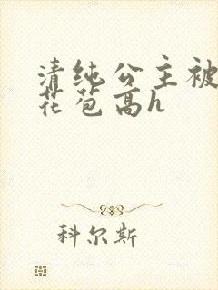 清纯公主被迫开花苞高h封面