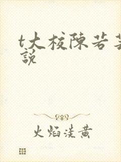 t大校陈若芸小说