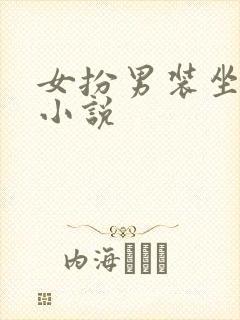 女扮男装坐江山小说