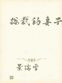 总裁的妻子封面