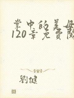掌中的美母版主120章免费阅读
