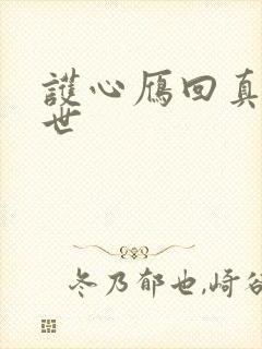 护心雁回真实身世封面