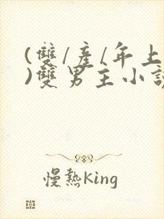 (双/产/年上)双男主小说