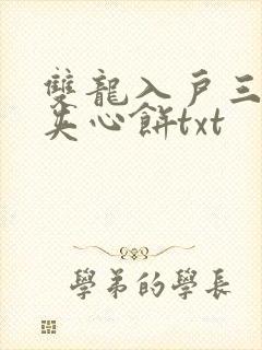 双龙入户三人行夹心饼txt