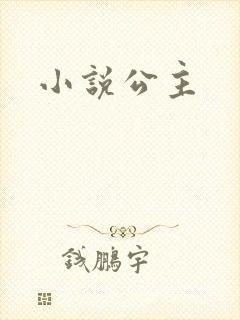 小说公主封面