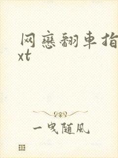 网恋翻车指南txt封面