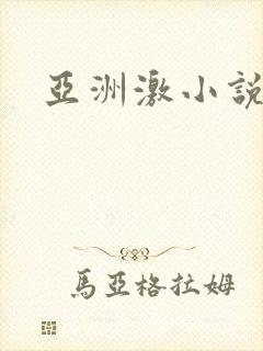 亚洲激小说封面