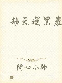 劫天运黑岩封面