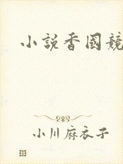 小说香国竞艳