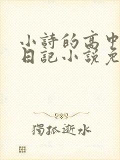 小诗的高中成长日记小说免费阅读