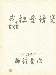 我把爱情煲成汤txt
