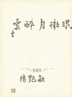 云醉月微眠txt封面