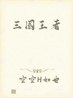三国王者封面