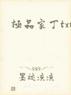 极品家丁txt