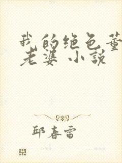 我的绝色董事长老婆 小说
