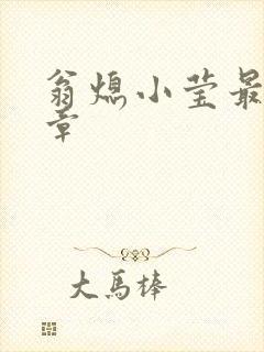 翁熄小莹最新节章封面