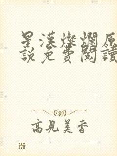 星汉灿烂原著小说免费阅读