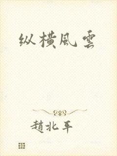 纵横风云封面