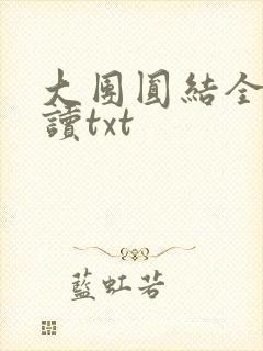 大团圆结全文阅读txt