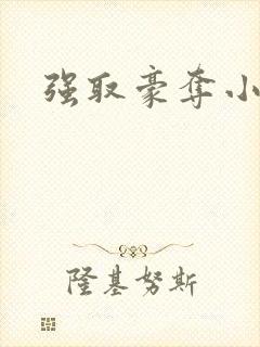 强取豪夺小说