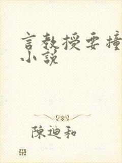 言教授要撞坏了小说
