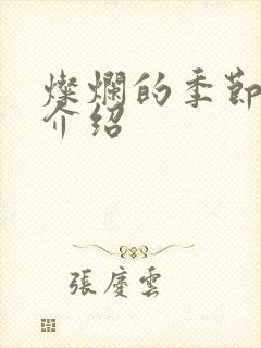 灿烂的季节剧情介绍
