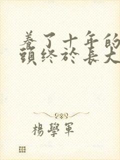养了十年的小丫头终于长大了