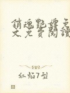 销魂艳婢免费全文免费阅读