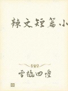辣文短篇小说