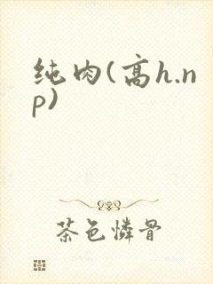 纯肉(高h.np)