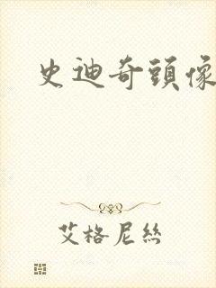 史迪奇头像